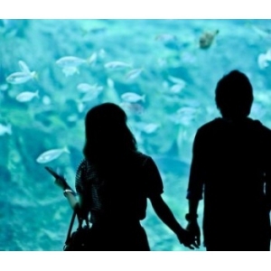 A Treasury of the World's Worst Online Dating Stories